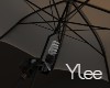 Studio Umbrella