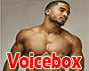 QJ^^Sexy Voice Box^^