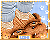 Kids Slippers Bear Twins