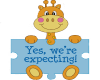 Yes,We're Expecting!!