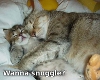 WSP Wanna Snuggle?