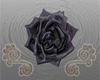 Black Rose Swirl