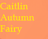 Caitlin Autumn Fairy