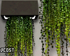 Wall Planter Neon