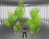 DRD-Trees for Decoration