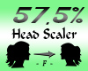 Head Scaler 57,5%