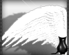 [CS] Angel Wings .F