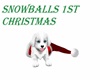 SNOWBALLS 1st CHRISTMAS