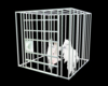 Slave Cage White