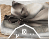 Animated Cat Sleeping