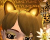 Yumi Cat Ears Golden Ches