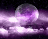 :YL: Dj Light Sky Dome