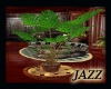 Jazie-Water Palm Plant