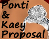 P & K Proposal