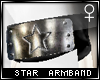 !T Star armband [F]
