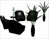 4 Black Chairs n Plants