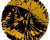  Poms