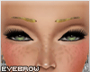 [V4NY] Pard Eyebrow #2