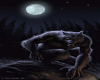 WOLF FULLMOON POSTER