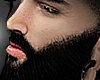X▬TW beard