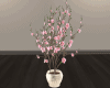 Cherry Blossom Pot
