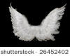 ·Sc· White angel wings