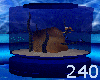 Blue Fish Tank