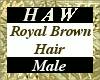 Royal Brown Hair - M
