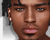 EZORA Head | Asteri