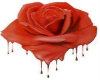 Blood Rose