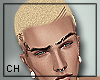 *CH* Blond T