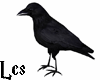 Crow -v1