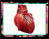 Real Beating Heart