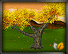 (ED1)Autumn tree-3