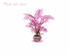 Club Plant pink