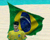 V9 Bandeira Brasil Anim