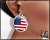 *M* 4 July USA Earrings