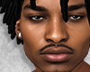 DALMAR Head | Asteri