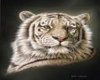 White Tiger 2