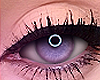 Y. Eyes Purple