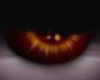 Eye Castanho 2t