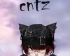 cntz custom headsign