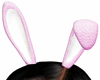 Pink Bunny Ears