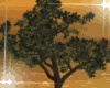 Tree Animated