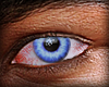 Male Blue Eyes(RENG)