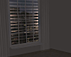 City Lights *Apartment