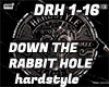 DOWN THE RABBIT HOLE -HS