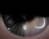 Eye Toya Tones Black