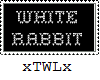 The White Rabbit