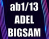 ADEL&BIGSAM